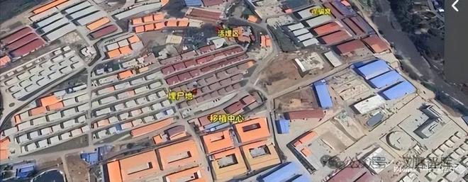 1世纪最邪恶的犯罪集中营！九游会登录j9入口妙瓦底2(图8)