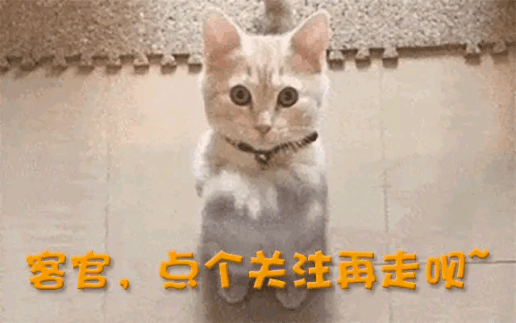 一中产最爱的电商平台停运曾叫板淘宝！J9国际网站烧光3000万美元！又